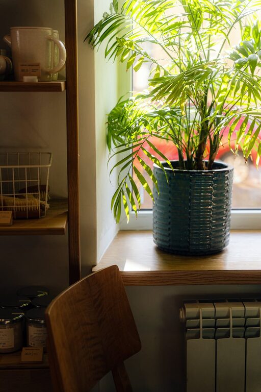 Create a Relaxing Home with Natural Light and Indoor Plants